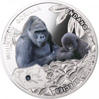 Endangered Animal Species 1//2 oz Proof Silver Coin 2014 Niue Red Ruffed Lemur