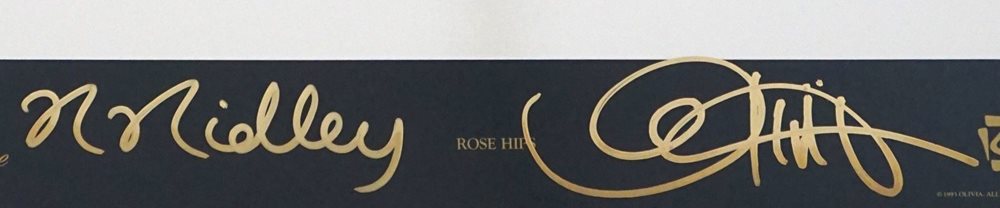 Olivia De Berardinis Dual Signed Art Print 16x20 PSA Guaranteed! Rose Hips Olivia De Berardinis Dual Signed Art Print 16x20 PSA Guaranteed! Rose Hips