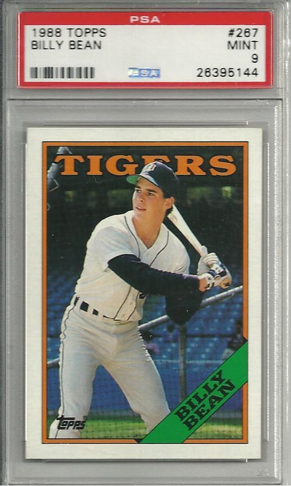 スポーツ選手 1988 BASEBALL CARD No.267 スポーツ選手 1988 BASEBALL CARD No.267 1988 Fleer Baseball