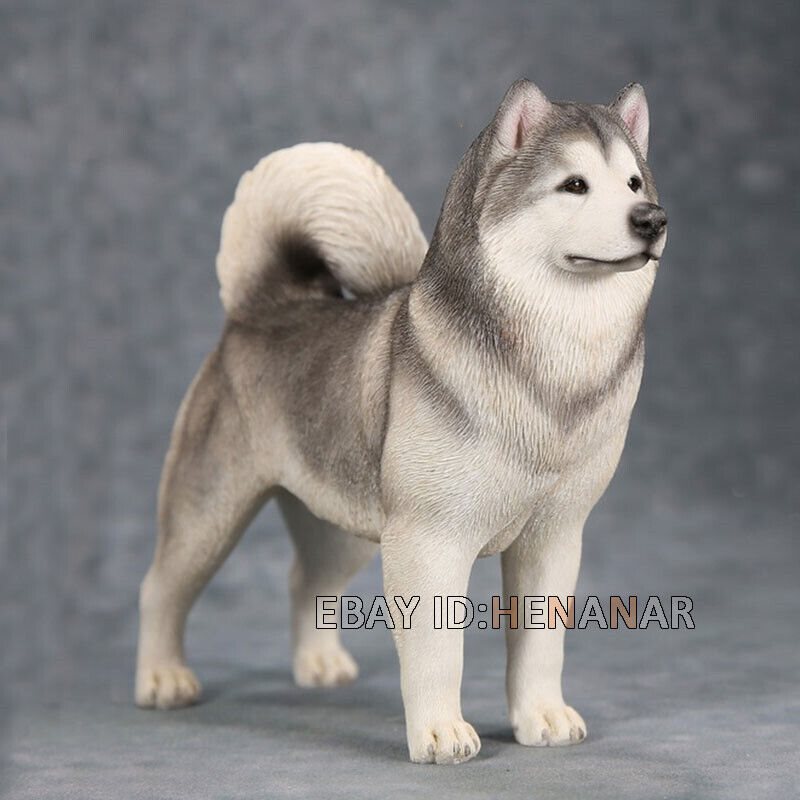 Mr.Z 1/6 Animal Toys Alaskan Malamute Dog Resin Figure