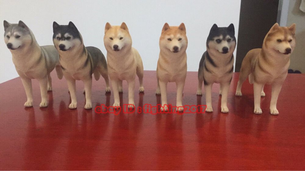 husky figure