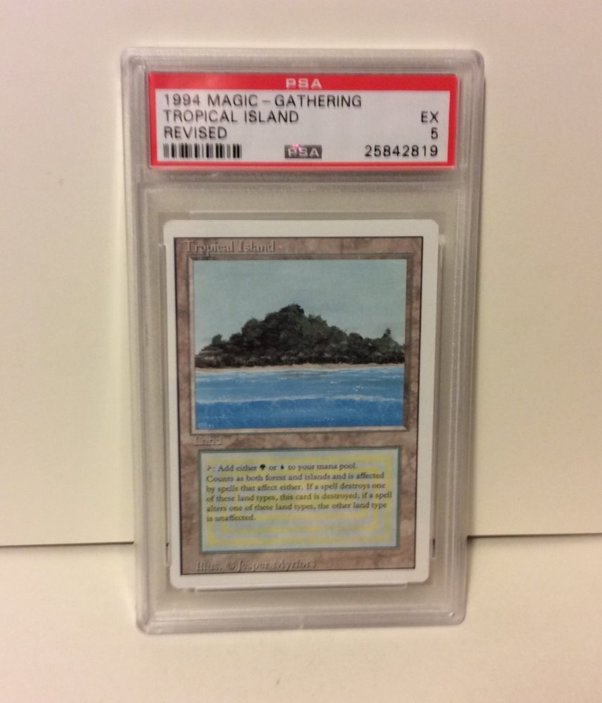 eBay Auction Item 361863513666 TCG Cards 1994 Magic the Gathering ...
